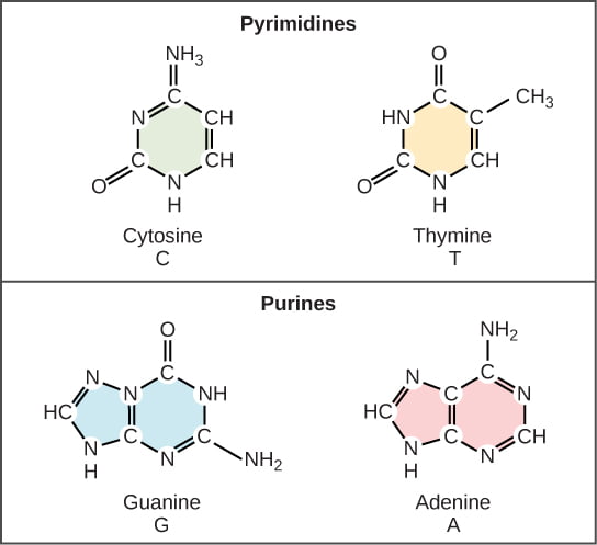 Figure 09 01 02b