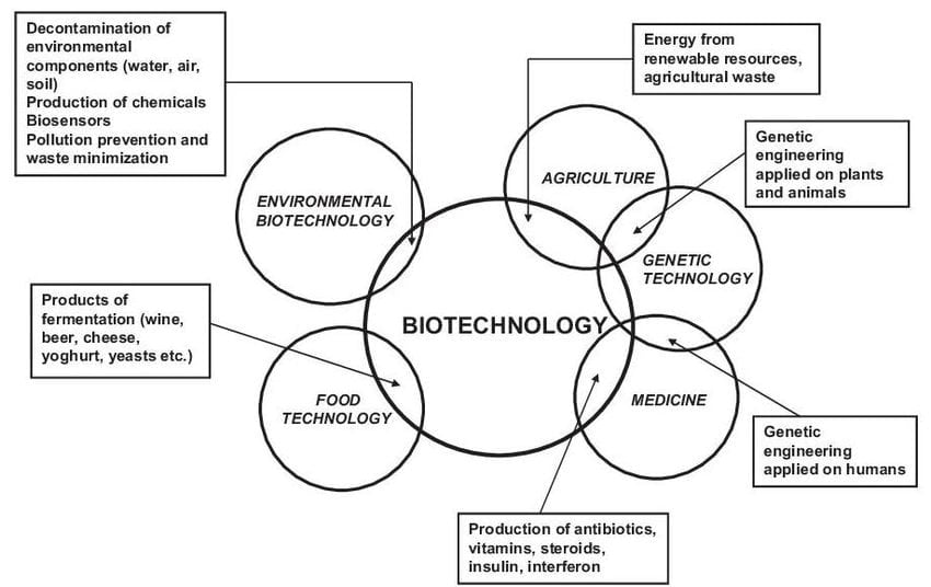 Various application of biotechnology Source Sukumaran 2006 and Gavrilescu 2010