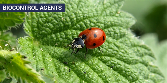 bio control agents