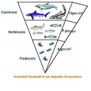 inverted pyramid
