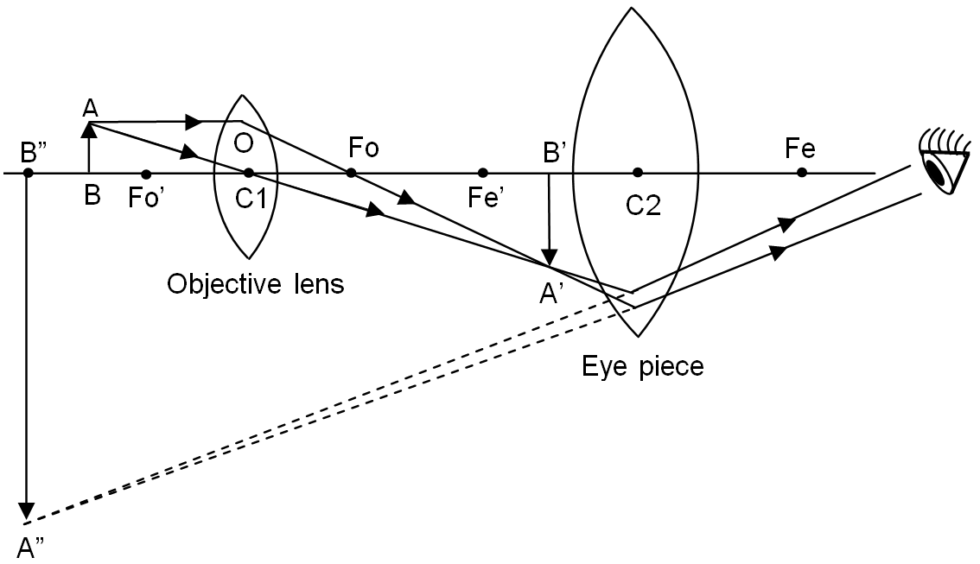 RayDiagramOfCompoundMicroscope 980x564 1