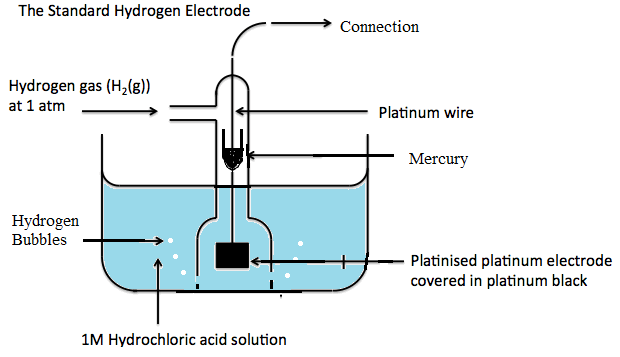 Standard hydrogen electrode 33