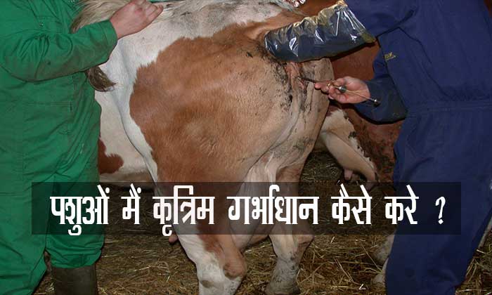 1567151446 Garbhadan