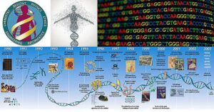 ह्यूमन जीनोम प्रोजेक्ट (Human Genome Project) या मानव जीनोम परियोजना क्या है। “HGP” के लक्ष्य, कार्य प्रणाली और मुख्य विशेषताएं क्या क्या हैं।
