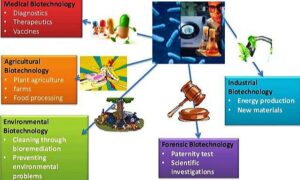 Applications of Biotechnology