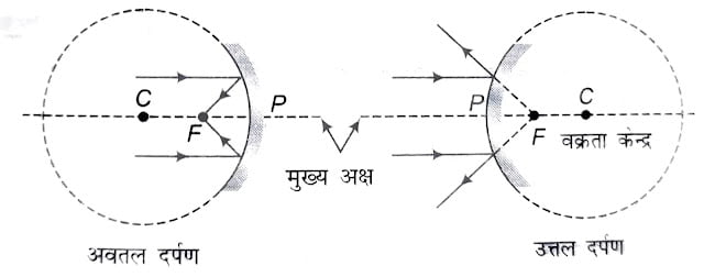 WhatsApp Image 2021 03 09 at 14.09.03