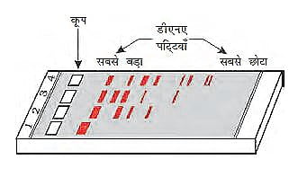 IMG 20230311 170749