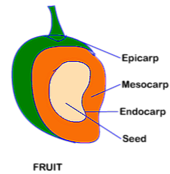 IMG 20230408 174403
