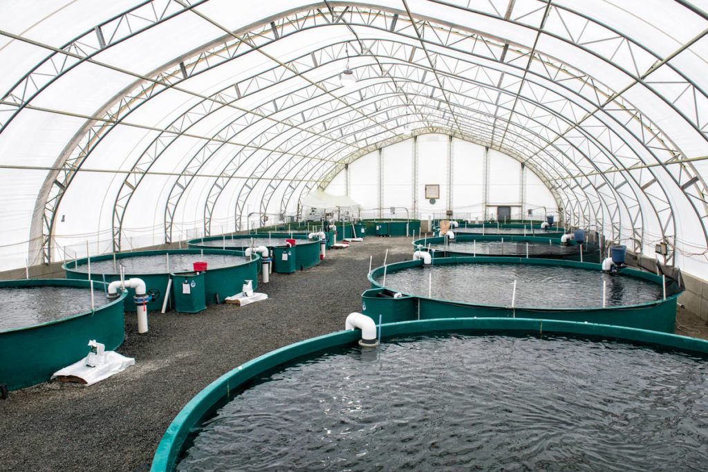Fish farming done responsibly Aquaculture Magazine