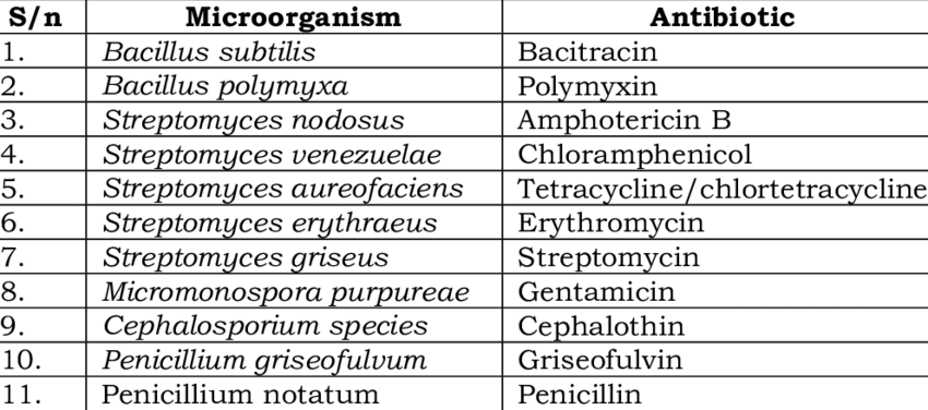 Microorganism used as the source of antibiotics