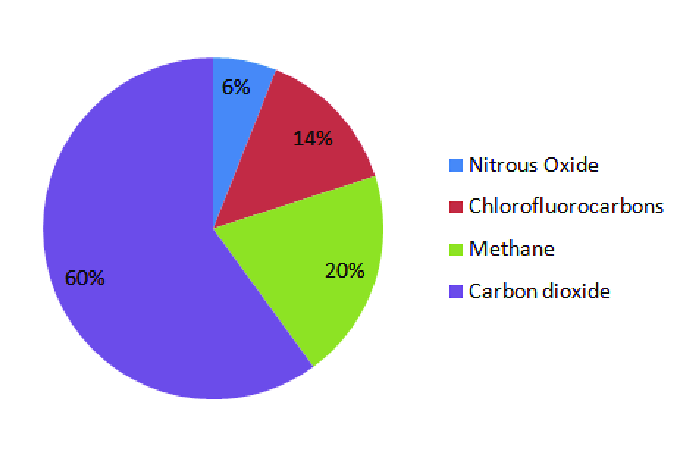 Relative contribution of various greenhouse gases to total global warming NCERT Class