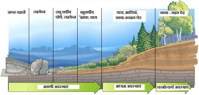 पारिस्थितिकीय अनुक्रम ECOLOGICAL SUCCESSION