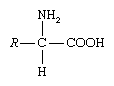 formula amino acid