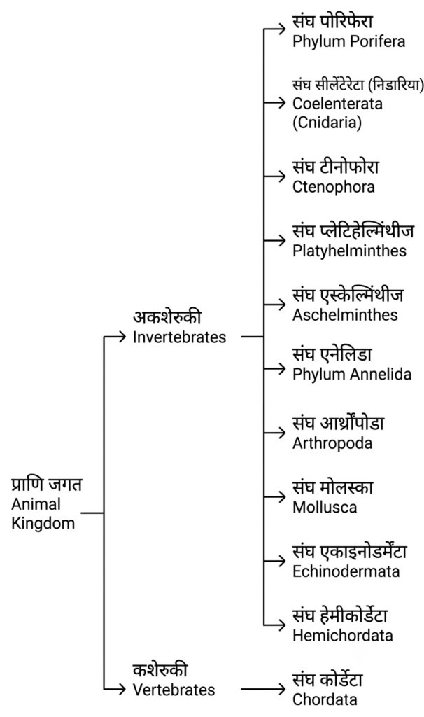 प्राणि जगत (Kingdom animalia): सम्पूर्ण वर्गीकरण और महत्वपूर्ण प्रश्न (Q&A) 3 17847919721043364966794784317638